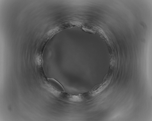 X0000110710285200906121401