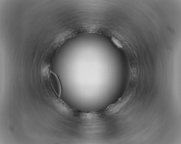 X0000110710286200906121401