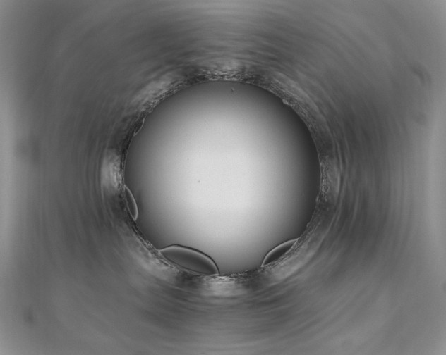 X0000110710287200906121401