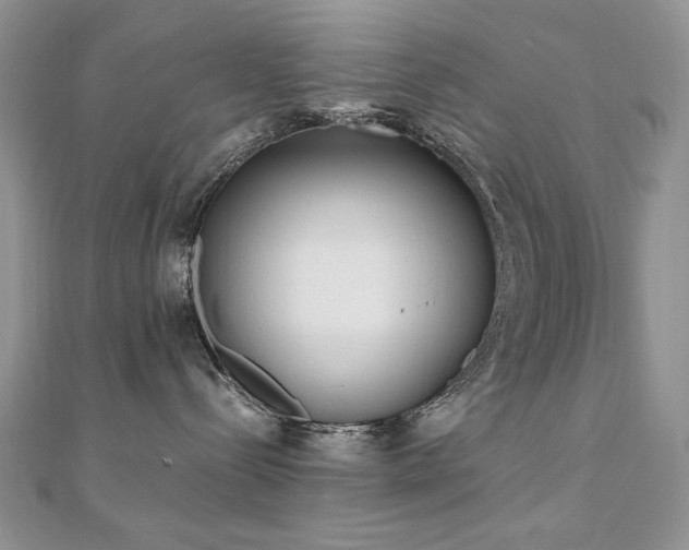 X0000110710288200906121401