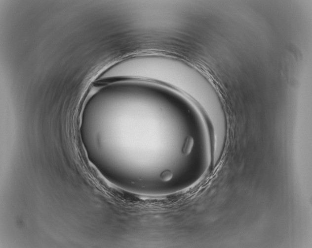 X0000110710289200906121400