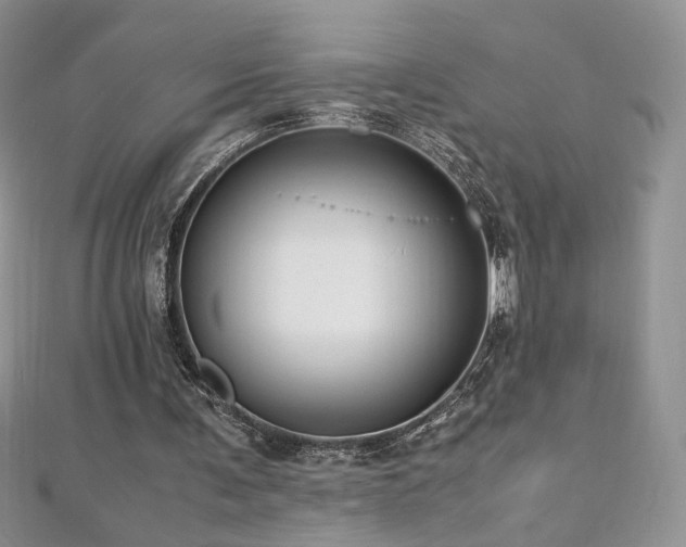 X0000110710291200906121400