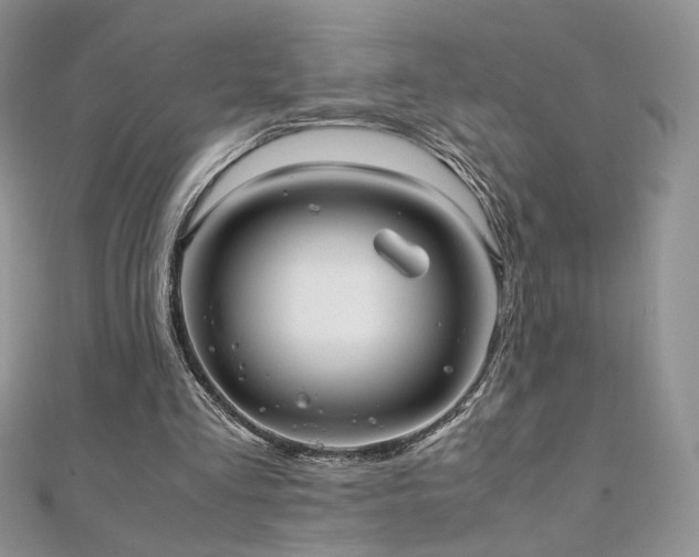 X0000110710293200906121400