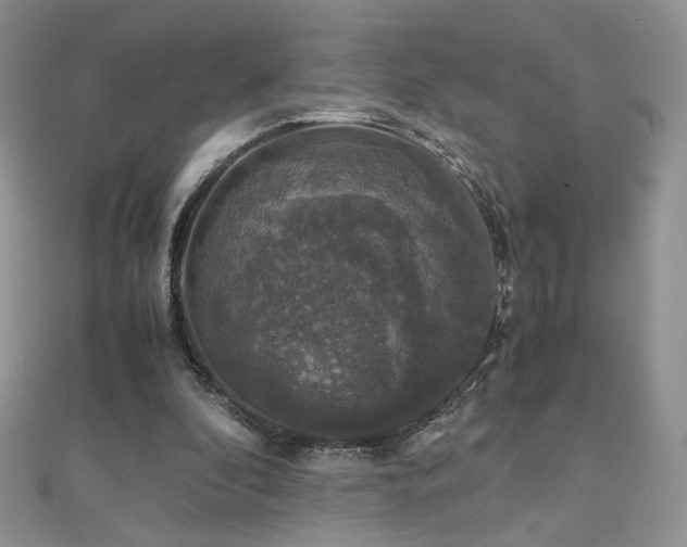 X0000110710296200906121400