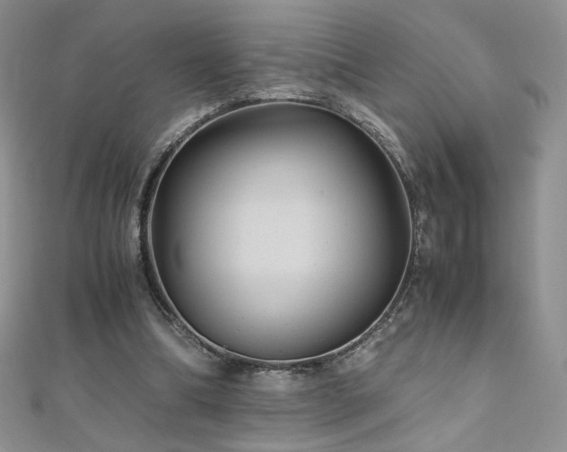 X0000110710298200906121400