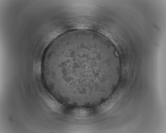 X0000110710299200906121400