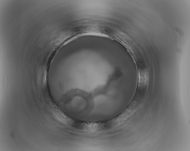 X0000110710301200906121400