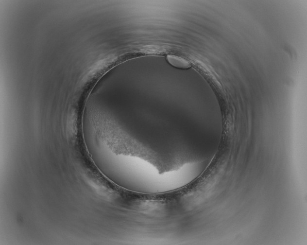 X0000110710303200906121400