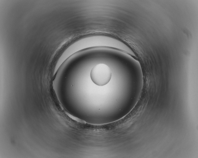 X0000110710304200906121400