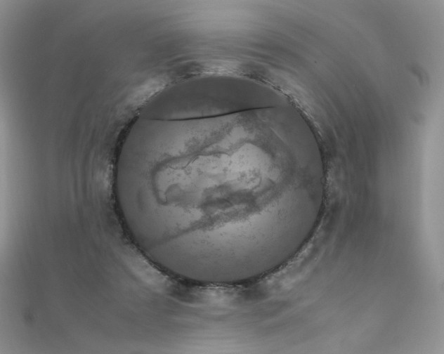 X0000110710305200906121400
