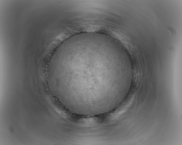 X0000110710307200906121400