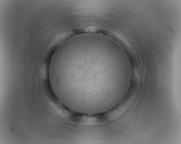 X0000110710311200906121400