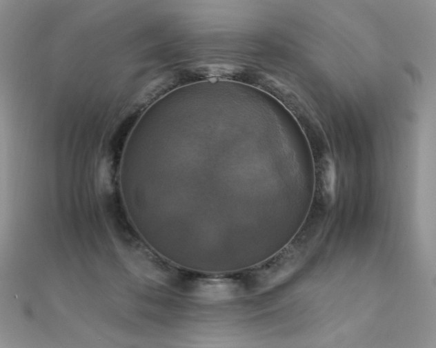 X0000110710316200906121400