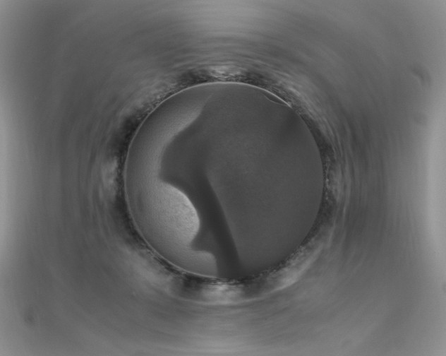 X0000110710319200906121400