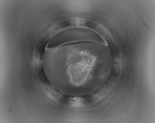 X0000110710324200906121400