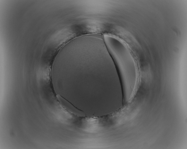 X0000110710325200906121400