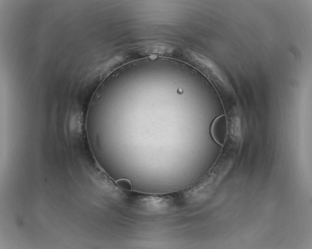 X0000110710326200906121400