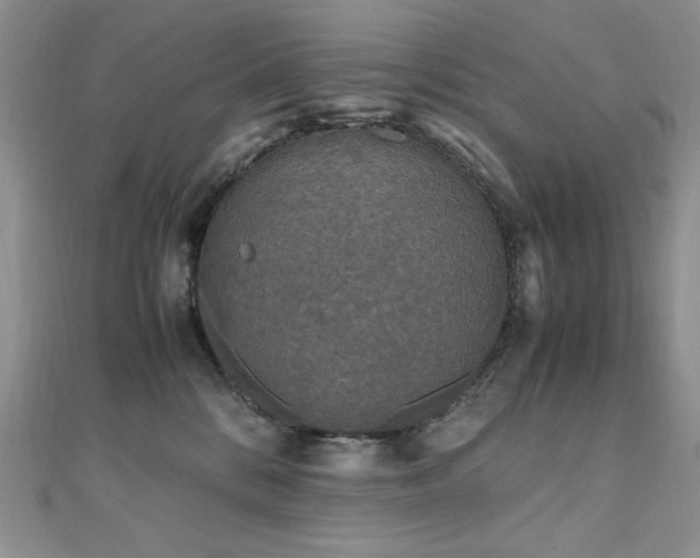 X0000110710328200906121400