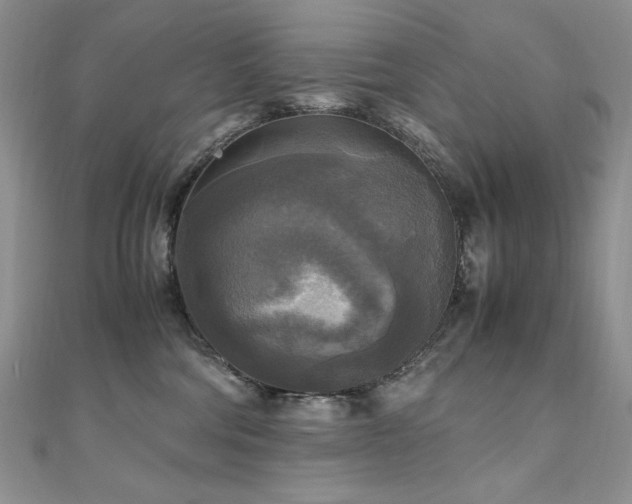 X0000110710330200906121359