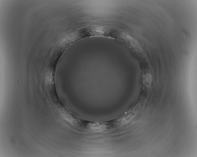 X0000110710331200906121359