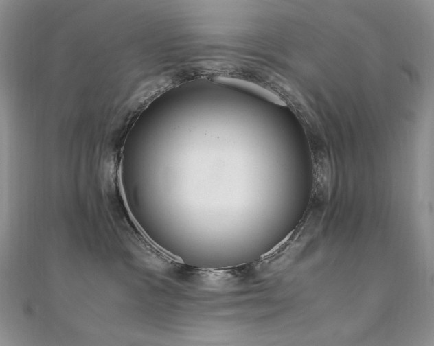 X0000110710333200906121359