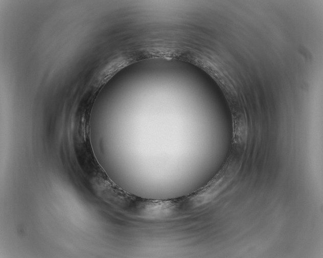 X0000110710334200906121359