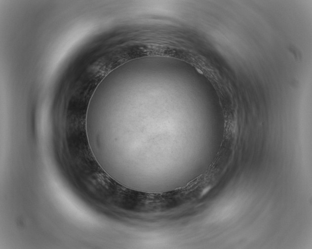 X0000110710335200906121359