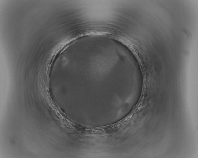 X0000110710337200906121359