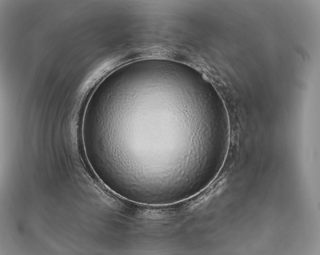 X0000110710341200906121359