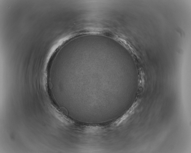 X0000110710342200906121359