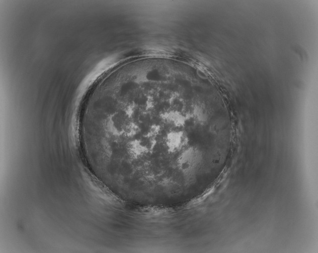 X0000110710343200906121359