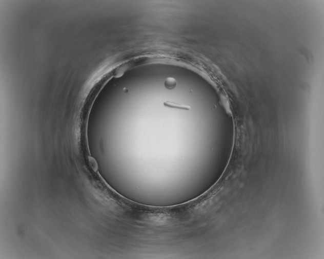 X0000110710344200906121359