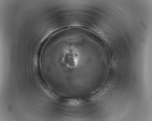 X0000110710347200906121359
