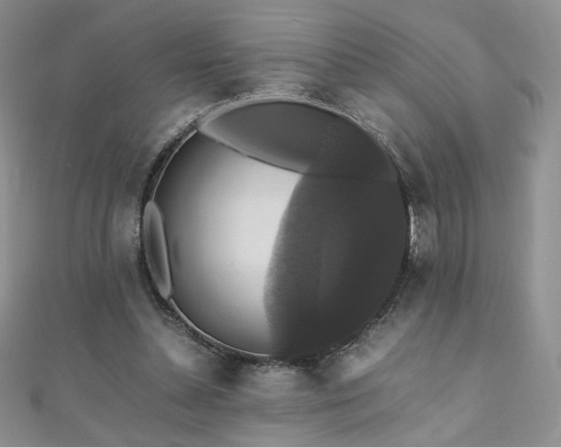 X0000110710348200906121359