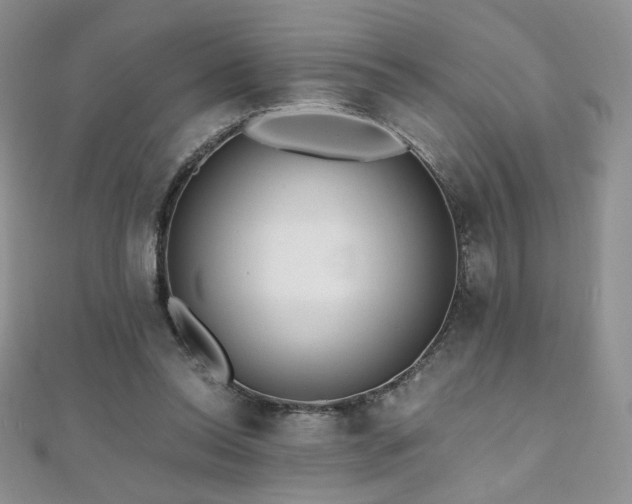 X0000110710350200906121359