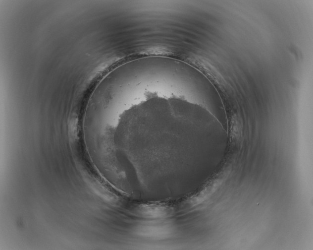 X0000110710351200906121359