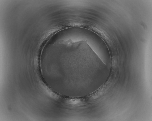 X0000110710353200906121359