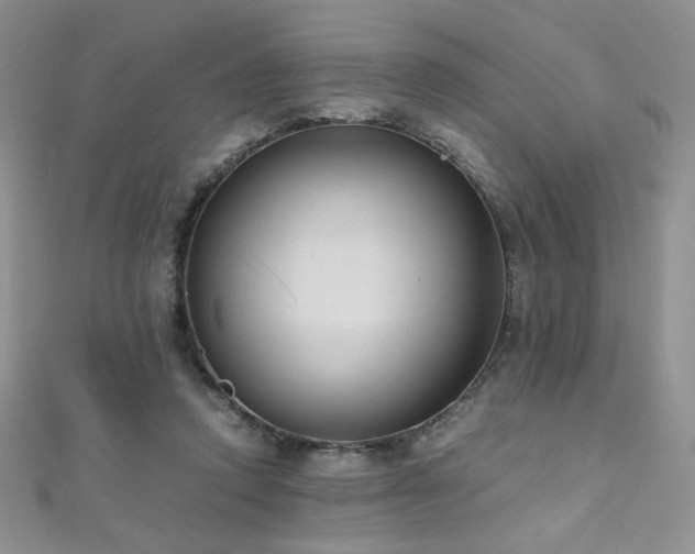 X0000110710354200906121359