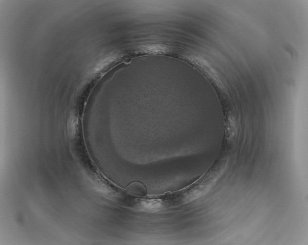 X0000110710355200906121359