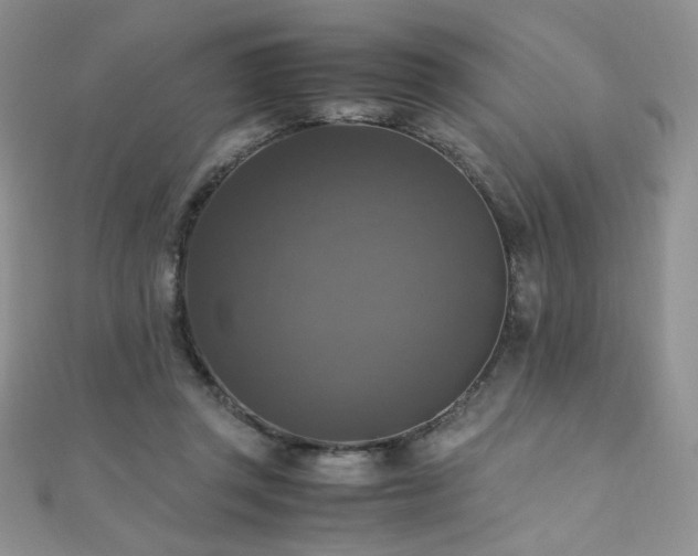 X0000110710357200906121359