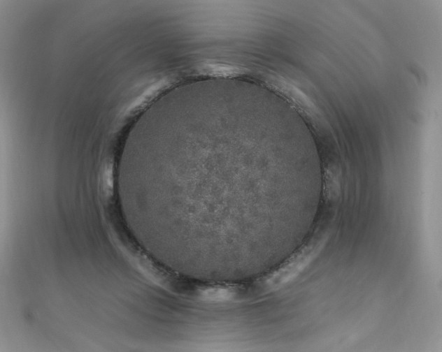 X0000110710358200906121359