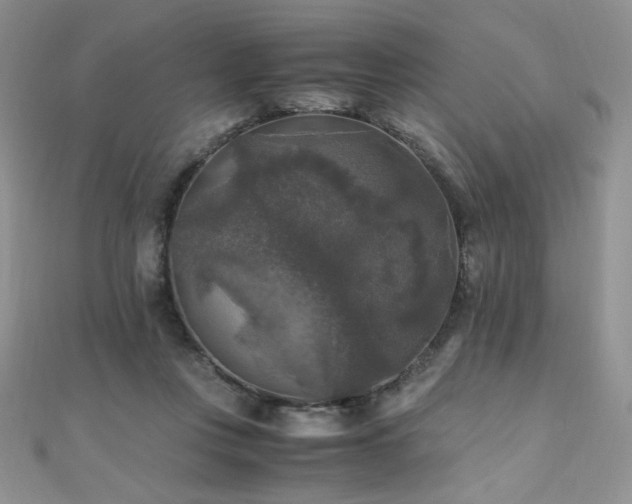 X0000110710359200906121359