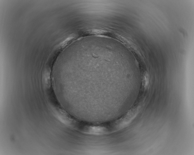 X0000110710360200906121359