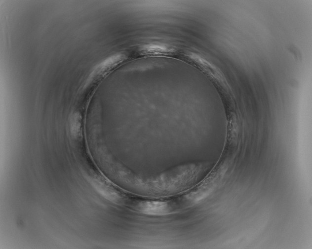 X0000110710361200906121359