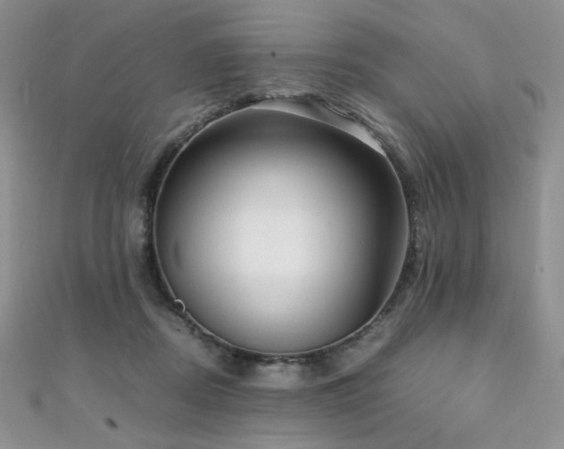 X0000110710362200906121359