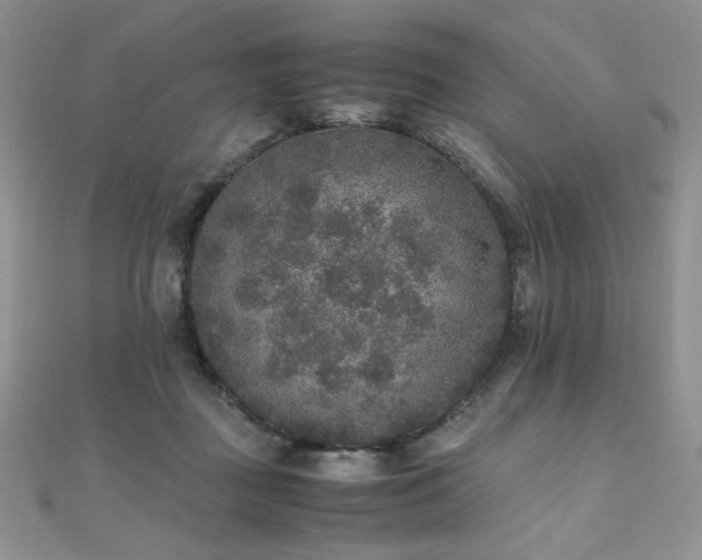 X0000110710363200906121359