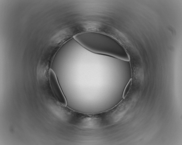 X0000110710364200906121359