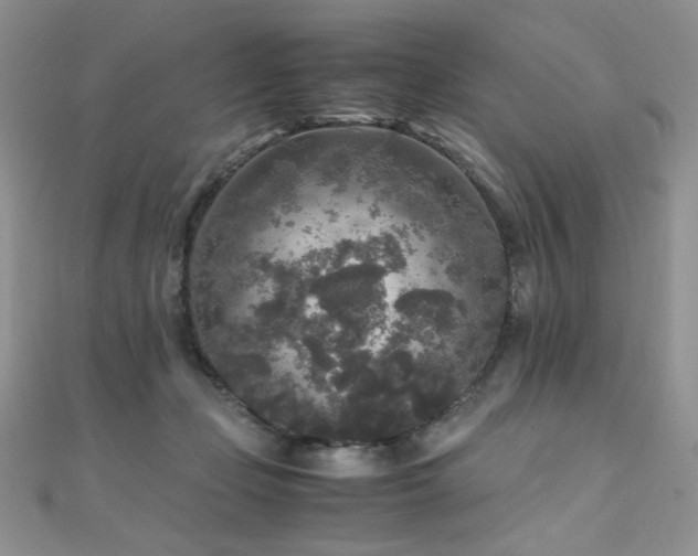 X0000110710365200906121359