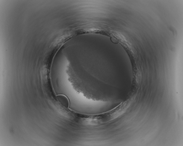 X0000110710366200906121359