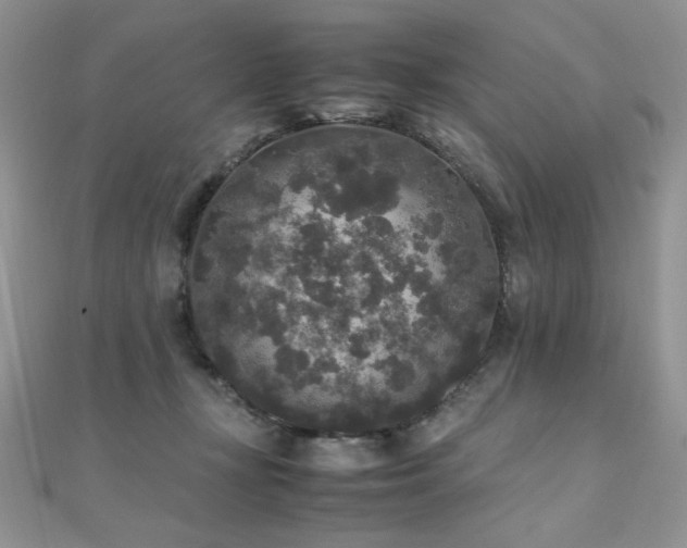 X0000110710367200906121359